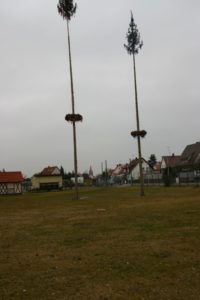 big_IMG_6976