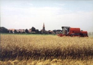 big_bild2