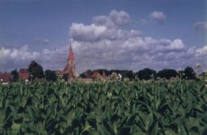 big_bild3