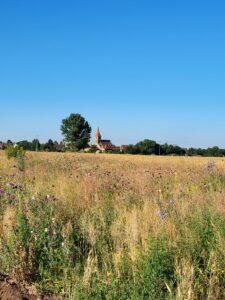 Jurisch_20220705_074229