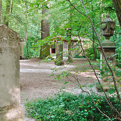 Read more about the article Irrhainfest